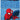 🕸️ Set Lenzuolo Copriletto Singolo Spiderman 100% Cotone – Prodotto Ufficiale Marvel