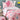 Completo letto singolo bambini Star in 100% cotone di Caleffi